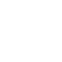 MADE IN ITALY logo